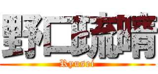 野口琉晴 (Ryusei)