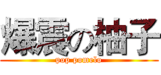 爆震の柚子 (pop pomelo)