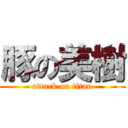 豚の美樹 (attack on titan)