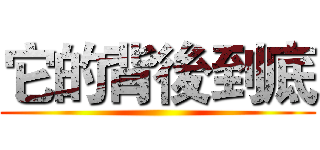 它的背後到底 ()