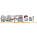 你是不是Ｓａ！ (SB)