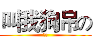 叫我狗吊の (大斌)
