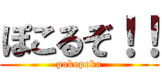 ぽこるぞ！！ (pokopoko)