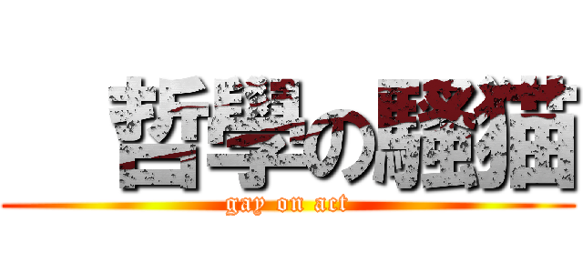   哲學の騷猫 (gay on act)