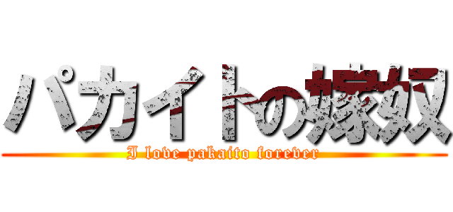 パカイトの嫁奴 (I love pakaito forever)