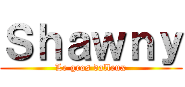 Ｓｈａｗｎｙ (Le gros dalleux)