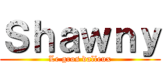 Ｓｈａｗｎｙ (Le gros dalleux)