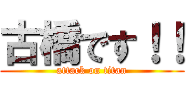 古橋です！！ (attack on titan)