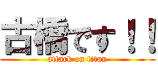 古橋です！！ (attack on titan)