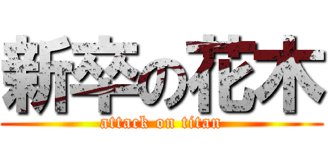 新卒の花木 (attack on titan)