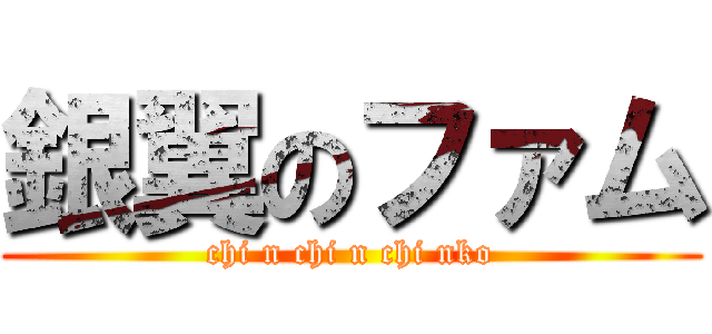 銀翼のファム (chi n chi n chi nko)