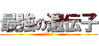 最強の遺伝子 (パオッキー)