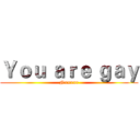 Ｙｏｕ ａｒｅ ｇａｙ (Nxxxxr)