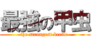 最強の甲虫 (the strongest beetle )