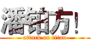 潘铂方！ (attack on titan)