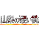 山梨の硬い桃 (ｐｉａｒｔ on ｈａｒｄ)