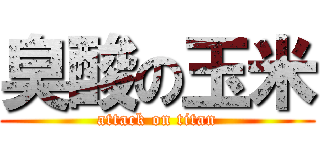 臭酸の玉米 (attack on titan)