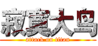 寂寞大鸟 (attack on titan)