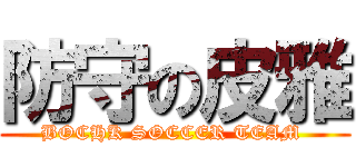 防守の皮雅 (BOCHK SOCCER TEAM )