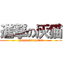 進撃の灰猫 (Happening Cat)