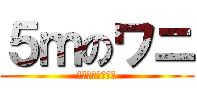 ５ｍのワニ (正式には５．５ｍ)