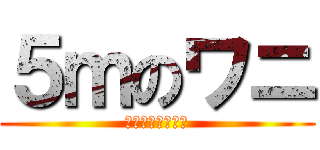 ５ｍのワニ (正式には５．５ｍ)