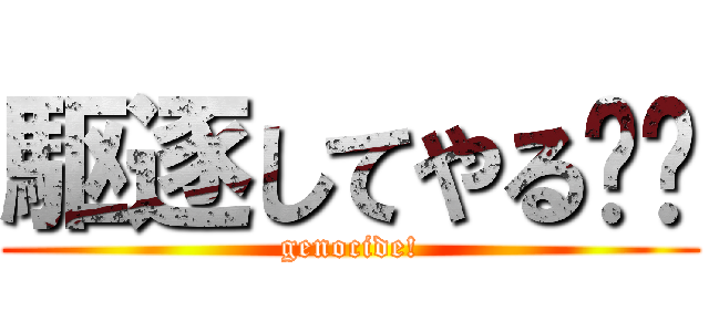 駆逐してやる‼︎ (genocide!)