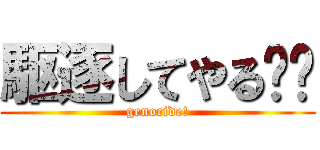 駆逐してやる‼︎ (genocide!)