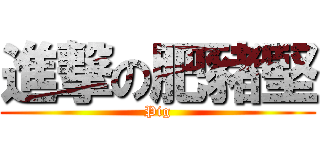 進撃の肥豬堅 (Pig)