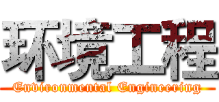 环境工程 (Environmental Engineering)