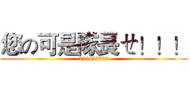 您の可是隊長ㄝ！！！ (123456789)