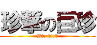 珍撃の巨珍 (Big dick)