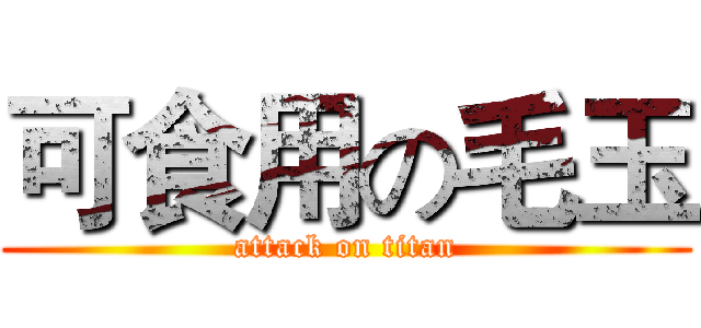 可食用の毛玉 (attack on titan)