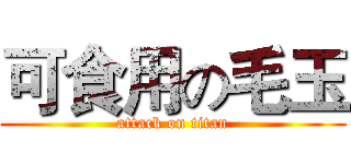 可食用の毛玉 (attack on titan)