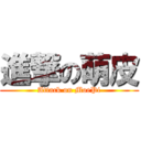 進撃の萌皮 (Attack on MoePi)