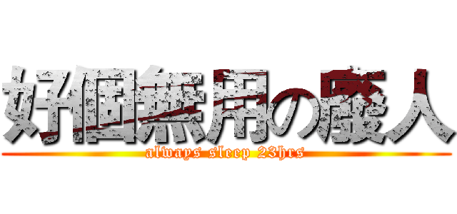 好個無用の廢人 (always sleep 23hrs)