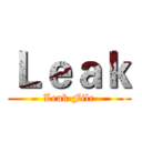 Ｌｅａｋ (Leak File)