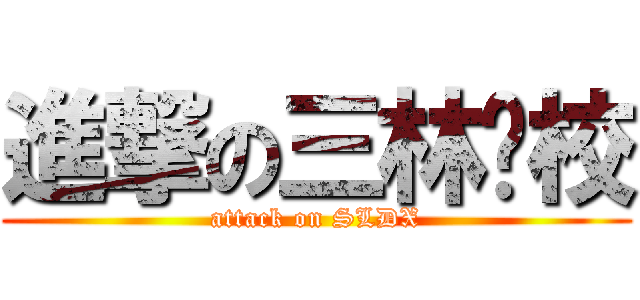 進撃の三林东校 (attack on SLDX)