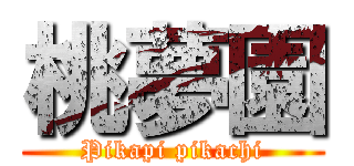 桃夢園 (Pikapi pikachi)