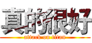 真的很好 (attack on titan)