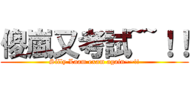傻嵐又考試~~！！ (Silly Laam exam again~~!!)