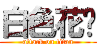 白色花开 (attack on titan)