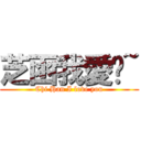 芝函我愛你~ (Chi Han I love you)