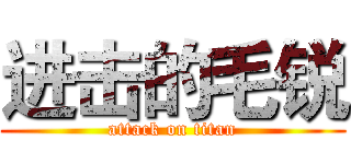 进击的毛锐 (attack on titan)