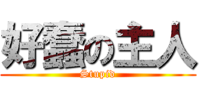 好蠢の主人 (Stupid)