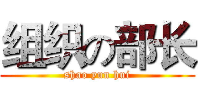 组织の部长 (shao yun hui)