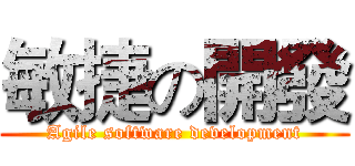 敏捷の開發 (Agile software development)