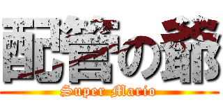 配管の爺 (Super Mario)