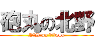 砲丸の北野 (P・S on kitano)