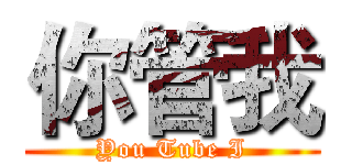 你管我 (You Tube I)